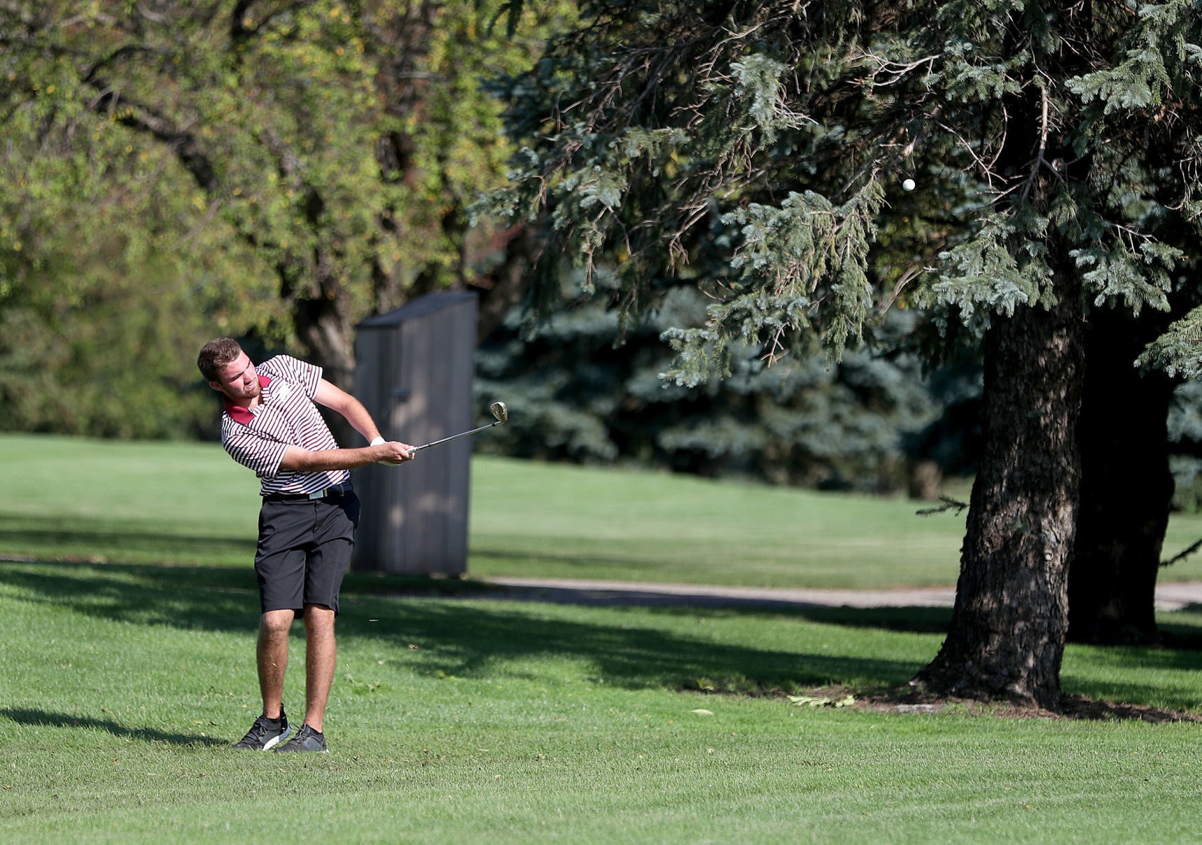 091019bp-metro-golf-6